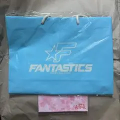 FANTASTICS ビニールバッグ BUTTERFLY バタフライ ノベルティ