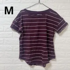 美品✨maurices 24/7 [M] 紫色 ストライプ 半袖Tシャツ