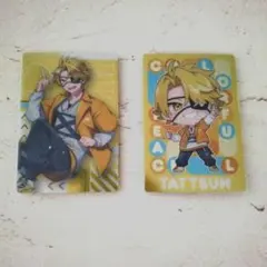 カラフルピーチ　ウエハース2　カード　たっつん