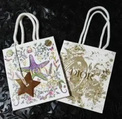 ≪Dior≫★2024ホリデー限定／ ショップ袋 ★スターチャーム【未使用】