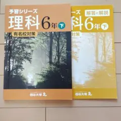 2026年最新】四谷大塚 予習シリーズ 6年 下の人気アイテム - メルカリ