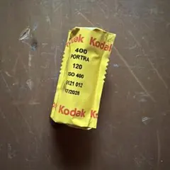 2026年最新】KODAK ブローニーフィルム・120フィルム・中判フィルムの