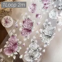 Item thumbnail for item 8d0aac51-911d-494b-b84e-2f0d5e8d16e0