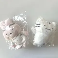 ホワイトタイガーとブラックタイガー