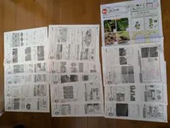 2026年最新】カラーテスト 4年生 理科 東京書籍の人気アイテム - メルカリ