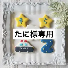 《たに様専用アイシングクッキー》誕生日Happy Birthday お祝い