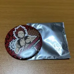 僕のヒーローアカデミア 切島鋭児郎 缶バッジ