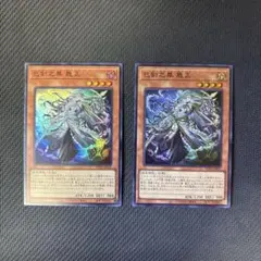 遊戯王カード　巳剣之尊 麁正　スーパーレア　2枚セット