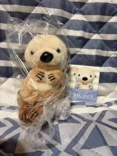 かわいいかわいいぬいぐるみ BIG ラッコ ラッコB②