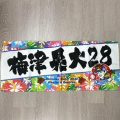 中日ドラゴンズ　梅津晃大　タオル