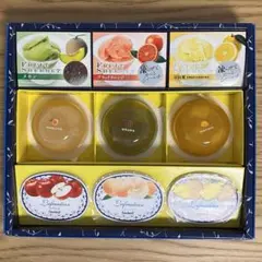 ゴンチャロフ 果肉入りゼリー、果汁ゼリー、シャーベット 9個セット