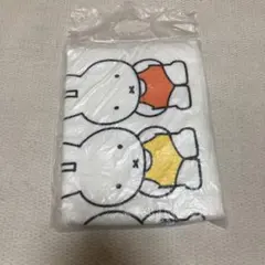 Item thumbnail for item 7dd0bc6a-546f-453d-b575-8a382fafd610