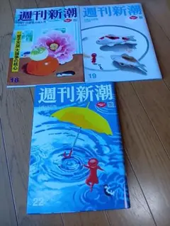 週刊新潮 3冊セット2026年 5月21日号 5月28日号 6月18日号