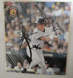 2025年最新】星野仙一 サイン色紙の人気アイテム - メルカリ