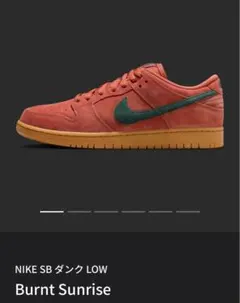 NIKE SB DUNK LOW