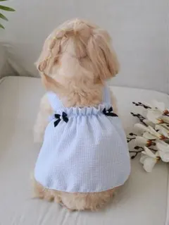 四季雑貨店 韓国風 水色ギンガムチェック犬服キャミソール 小型犬M