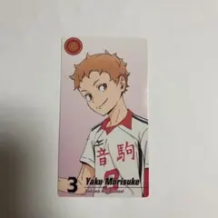 Item thumbnail for item e8b59bcb-e19e-4960-9a64-78f6c942a334