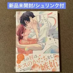 【新品未開封】おかえり、初恋。5