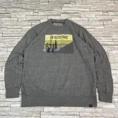 TECHSTYLES スウェット グレー 企業ロゴ 風景ロゴ USA古着