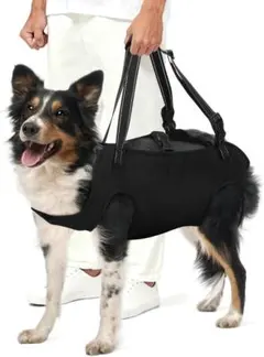 Item thumbnail for item a169a730-117b-431b-9af0-39eb2a4f1e63