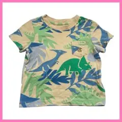 babyGap 恐竜柄Tシャツ80cm ブラナン 綿100 総柄