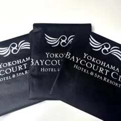 Item thumbnail for item 69590546-1ef3-4f4c-b463-2c07c8fc710d