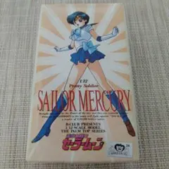 セーラーマーキュリー　セーラーマーズ　フィギュア　ガレージキット　レジンキット セーラーマーキュリー セーラーマーズ フィギュア ガレージ