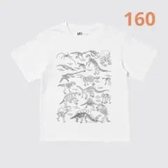 UNIQLO ジェイソン・ポラン UT Tシャツ 160 恐竜柄　刺繍のサムネイル