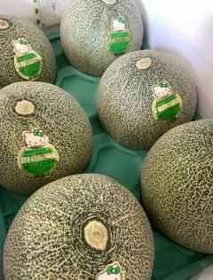 ふらのメロン 7玉入(8kg) - メルカリ