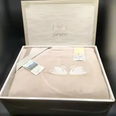 Item thumbnail for item 7813d559-9929-4573-9406-942fcb1ac0a9