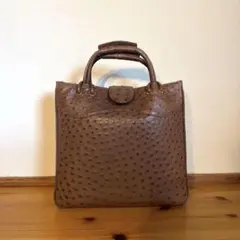 Konigin クーニギン オーストリッチ ハンドバッグ 希少 ブラウン 