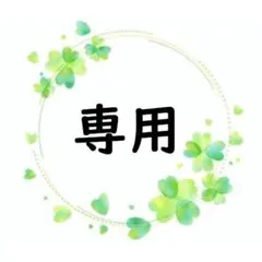 KN様 リクエスト 2点 まとめ商品