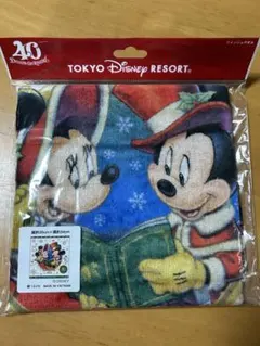 東京ディズニーリゾート クリスマス2023 タオル