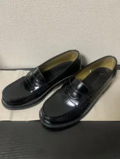 Item thumbnail for item 017b775a-d4cb-4ec9-87cd-634a62e39c13