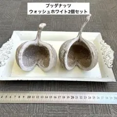 トトロ様 リクエスト 2点 まとめ商品