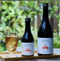 Item thumbnail for item 4dededec-c682-4d31-87a1-d57074900aa4