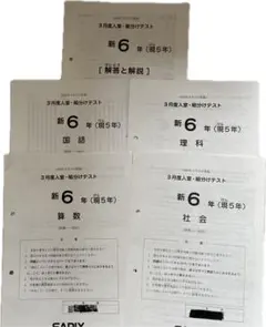 2023年3月5日　新6年（第5年）　3月度入室　組分けテスト問題集