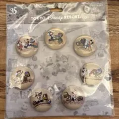 東京ディズニーリゾート ピンバッジセット