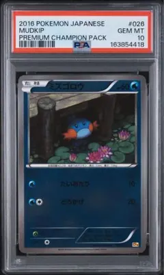 PSA10】2013 ポケモン花札 フシギダネ ゼニガメ ヒトカゲ | Mercari