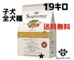 2026年最新】シュプレモの人気アイテム - メルカリ