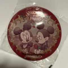 ディズニーシー　缶バッジ　5周年　シーズンオブザハート　ミッキー&ミニー　TDS