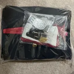 Item thumbnail for item 609237f8-107c-4c3f-8ed8-bd1dbbbe149f