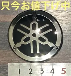 ヤマハ純正 新品 クローム エンブレム2枚セットXJ400 XJ550 RZ250 RZ350