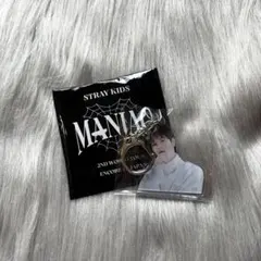 straykids アクキー