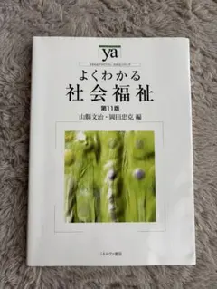 ミネルヴァ書房 よくわかる社会福祉 第11版のサムネイル