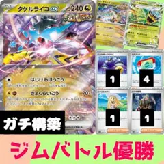 タケルライコex 構築済みデッキ