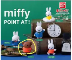 ミッフィー point at