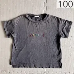 BREEZE 半袖Tシャツ グレー 100