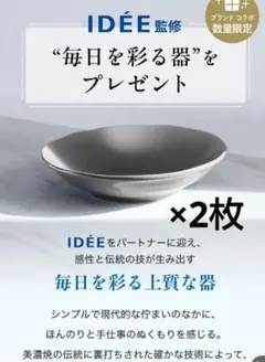 【新品】アテニア　IDÉE監修 美濃焼 メインプレート 　2枚のサムネイル