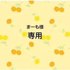 まーも様　専用出品